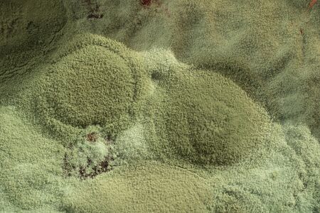 Green mold on food close macro backgroundの写真素材