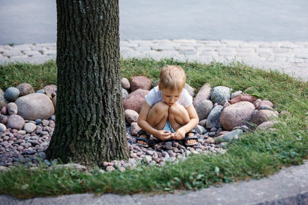 A little boy squats by a large tree trunk and plays with pebbles.の写真素材