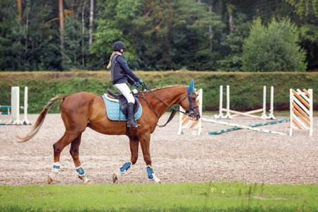 Training process. Young teenage girl riding bay trotting horse on sandy arena practicing at...