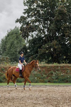 A young girl rides on a brown horse in a stud farm sand arena against the backdrop of large green...