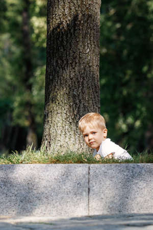 A little boy is hiding near a big tree. A child peeks out from behind a tree trunk.の写真素材