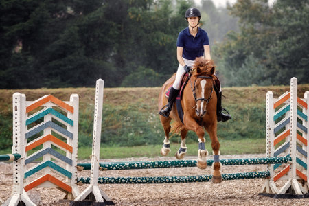 Young horse rider girl jumping over a barrier on show jumping course in equestrian sports competition.の写真素材