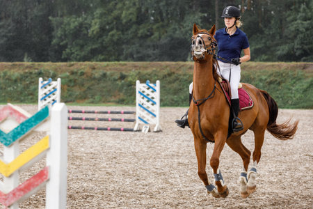 Young horse rider girl restraining a horse on show jumping course in equestrian sports competition.の写真素材