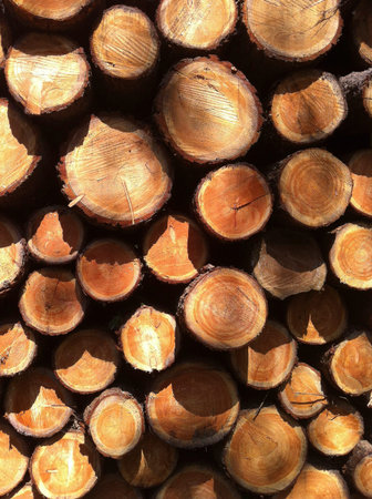 Pile of sawn timber