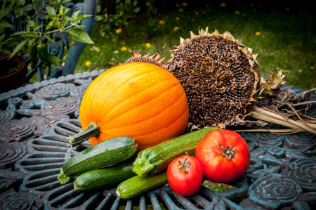 Garden veg harvest of pumpkin, courgettes, tomatoes and sunflower seeds.