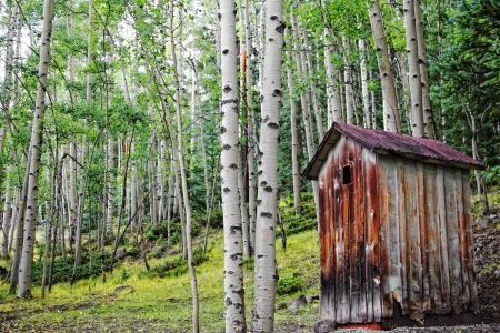 An old outhouse sits among the beauty of a forest of Aspen trees in the Colorado moutains.の写真素材