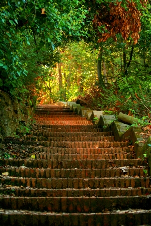 Autumn comes slowlyの写真素材