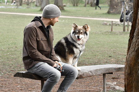 Portrait of puppy Finnish Lapphund dog and man in a park
