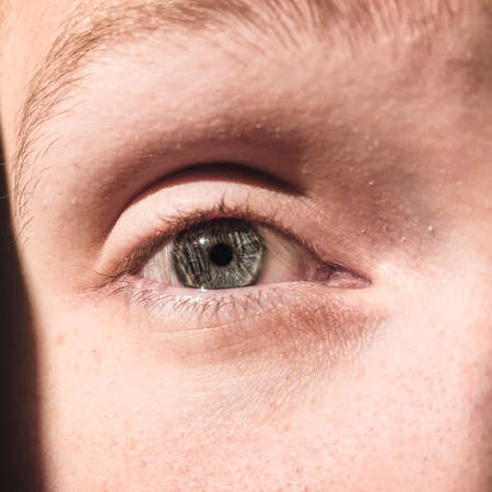 Closeup of a green eye of a manの写真素材