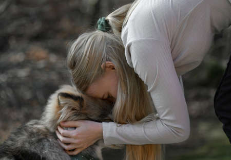 A blonde woman cuddling a Finnish Lapphund dog, they have matching fashion accessoriesの写真素材