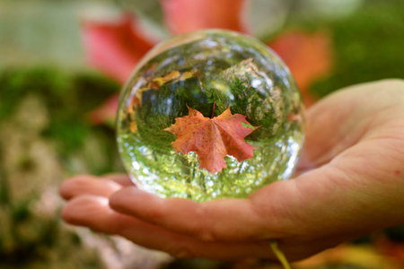 A crystal ball in a hand of a woman during autumn or fall season