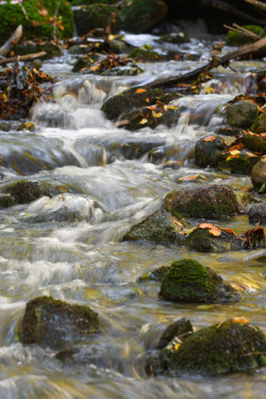 Photo of water flowing in a river during autumn or fall season