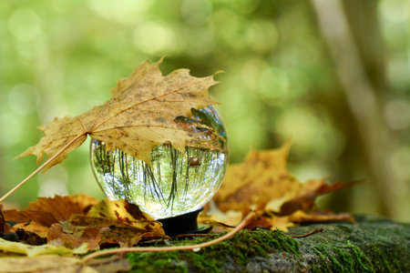 A crystal ball in nature during autumn or fall seasonの写真素材