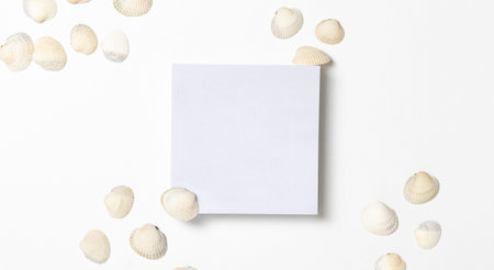 Overhead of sea shells and square on white backgroundの写真素材