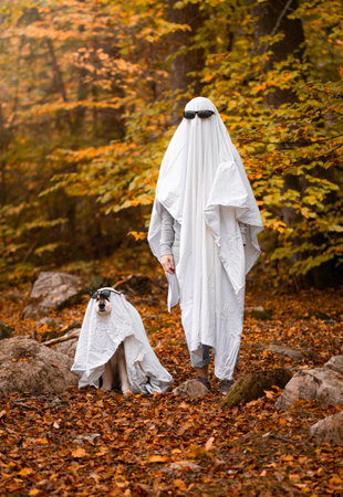 Portrait of Finnish Lapphund dog and person dressed up as ghosts in autumn or fallの写真素材