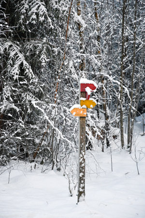 A path sign or sign of direction in the forest during snow and winterの写真素材