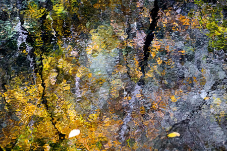 Pocono Mountains, Pennsylvania: The reflections of trees and autumn leaves in a stream create impressionist patterns and textures.の写真素材