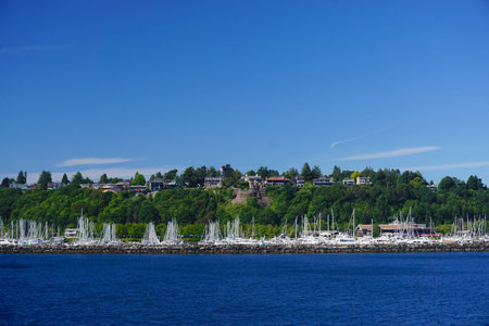 Seattle, Washington: A marina filled with sailboats on the deep blue waters of Elliott Bay.