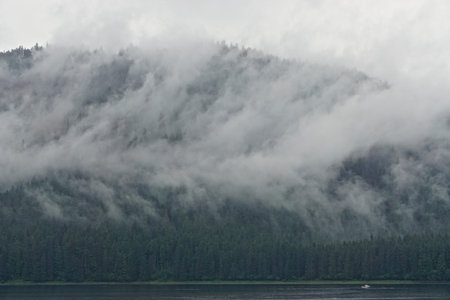 Hoonah, Alaska: Clouds and mist sweep across a dense forest of pine trees at Icy Strait Point, near...
