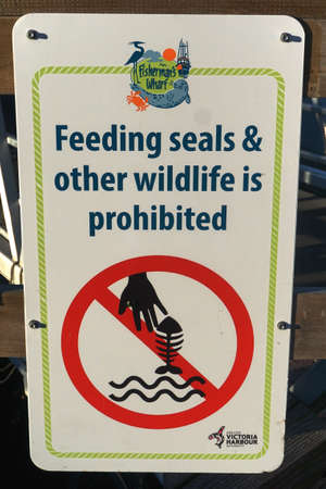 Victoria, British Columbia, Canada: A sign at Fishermans Wharf cautions visitors that feeding seals and other wildlife is prohibited.のeditorial素材