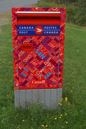 A colorful mailbox in Canada, on a lawn with yellow wildflowers.のeditorial素材