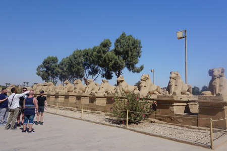 Luxor, Egypt: Row of ram sphinxes at the entrance to the Temple of Amun at the Karnak Temple complex.のeditorial素材