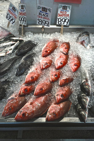 Portland, Maine, USA: Rows of red snapper and black sea bass on ice, for sale at an indoor fish market.の写真素材