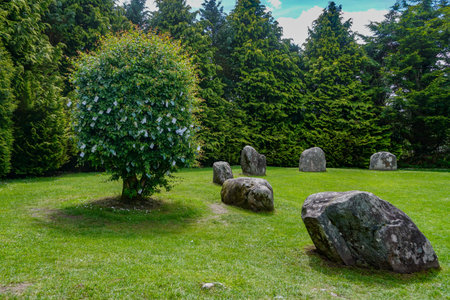 Kenmare, Co. Kerry, Ireland: The Hawthorn Fairy Tree at the Bronze-age Kenmare stone circle. People...