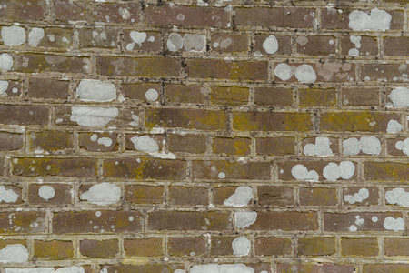 brick wallの写真素材