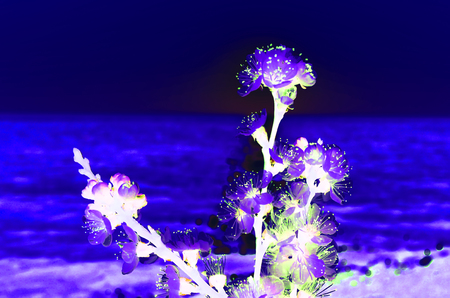 Cherry blossoms against the blue sky backgroundの写真素材