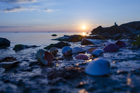 Beautiful colored seashells on large stones near the sea and with splashの写真素材