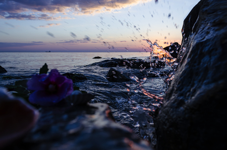 Beautiful colored seashells on large stones near the sea and with splashの写真素材