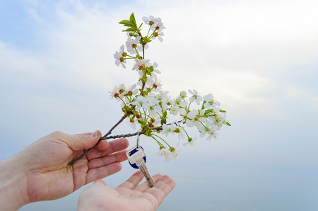 The key is from a new house and a cherry blossom branch in hands on a sunset background.の写真素材