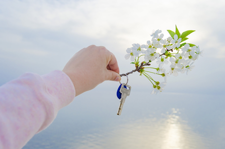 The key is from a new house and a cherry blossom branch in hands on a sunset background.の写真素材