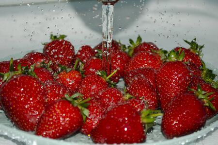 Ripe strawberries under a stream of water washed and covered with water drops. Heap of strawberries in water with bubblesの写真素材
