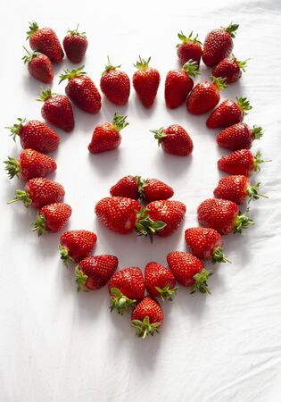 Ripe strawberries are laid out on a white background in the shape of a lion's faceの写真素材