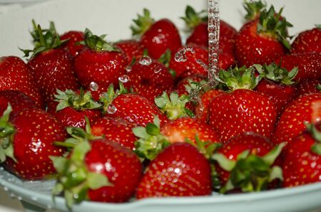 Ripe strawberries under a stream of water washed and covered with water drops. Heap of strawberries in water with bubblesの写真素材