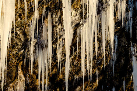 A huge icicle hanging from a rock with moss, which melts and drips into the waterの写真素材