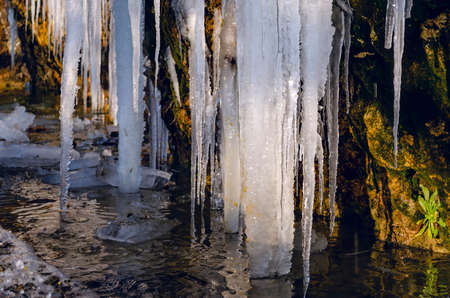 A huge icicle hanging from a rock with moss, which melts and drips into the waterの写真素材