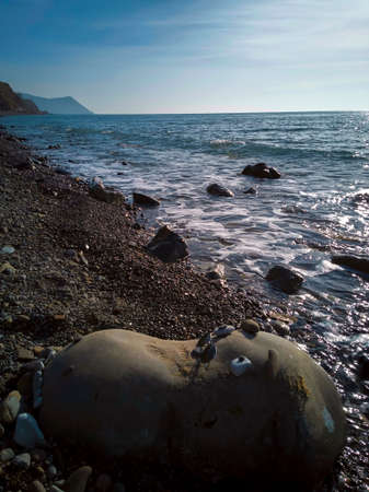 On the seashore there is a figure of a behemoth's head made of a large stone and pebblesの写真素材
