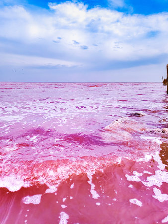 Dunaliella salina impart a red, pink water in mineral lake with dry