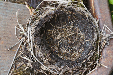 Empty Robins Nest In Corner Of Faded Red Wagonの写真素材