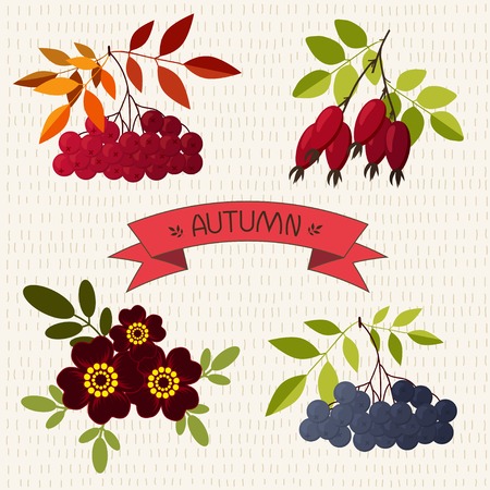 Autumn. Mountain ash, chokeberry, rose, marigold  on the hand drawn backgroundのイラスト素材