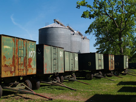 Three large grain silos behind a number of peanut wagons and a mature pecan grove in south Georgia.   の写真素材