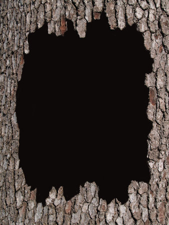 Black copy space with a tree bark border design.    の写真素材