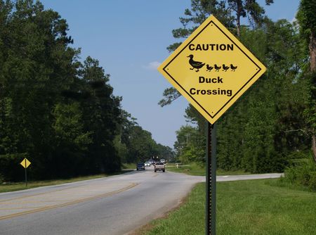 Yellow diamond caution duck crossing sign beside a road.の写真素材