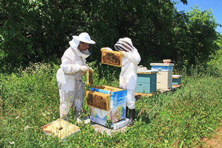 Mother teaching her daughter how to inspect frames and look for the queen bee in a Langstroth...