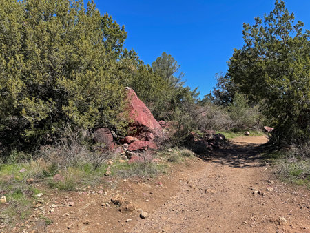 Springtime view of a large red rock beside the Gowan hiking trail in Tonto Natural Bridge State Park in Pine, Arizona with bright blue sky copy space in an area above the natural bの写真素材