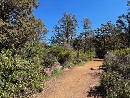 Springtime view of the Peaceful Gowan hiking trail in Tonto Natural Bridge State Park in Pine, Arizona with bright blue sky copy space in an area above the natural bridge.の写真素材