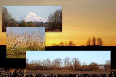 Fall on Sauvie Island, Oregonの写真素材